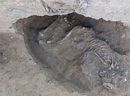 Иранские археологи обнаружили скелет человека, жившего 5 тыс. 800 лет назад