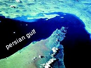 نام ماندگار خلیج فارس با پیشوند مروارید به ثبت جهانی رسید