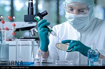 Иран занимает первое место по науке в исламском мире   