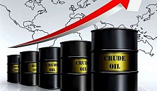 قیمت نفت افزایش یافت 