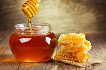 در قم ۳۲۰ تن عسل تولید شد