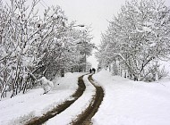 پیش بینی های "برف و بارانی" سازمان هواشناسی ایران 