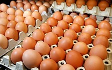 صادرات 50 میلیون عدد تخم مرغ از جمهوری آذربایجان به ایران آغاز شد