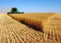 استان گلستان ایران در تولید 15 محصول کشاورزی برتر کشور است  