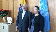ظریف با رئیس مجمع عمومی سازمان ملل دیدار کرد