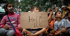 هزاران کودک مهاجر مورد سوءاستفاده جنسی قرار گرفته اند
