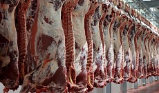 امسال 126 هزار تن گوشت قرمز وارد ایران شد